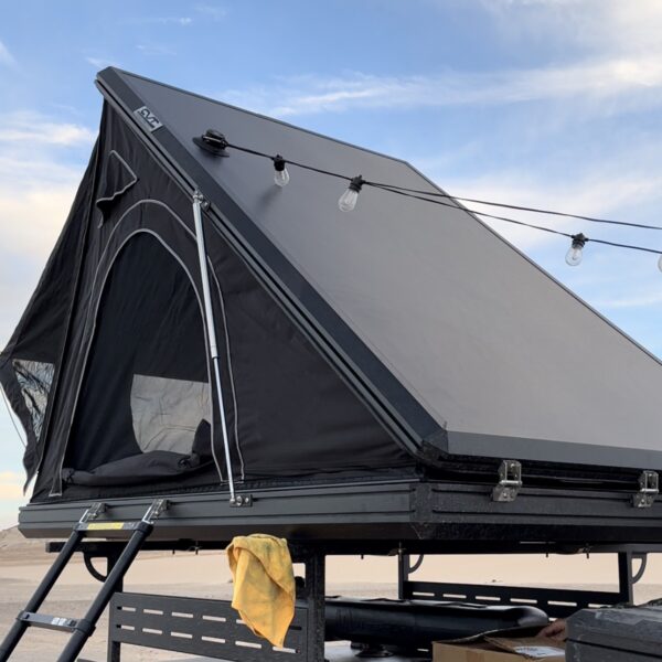 Stainless Steel D-Ring